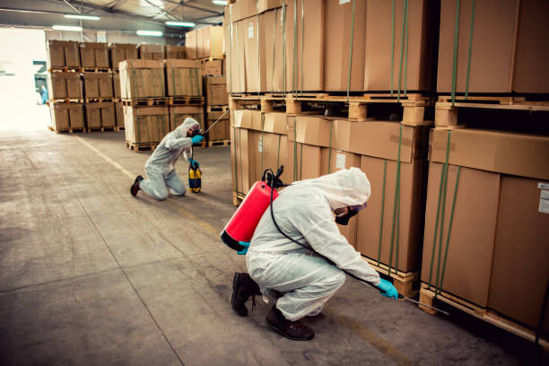 Pest Control for Restaurants in Havre, MT
