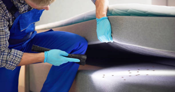 Best Cockroach Control Services  in Havre, MT