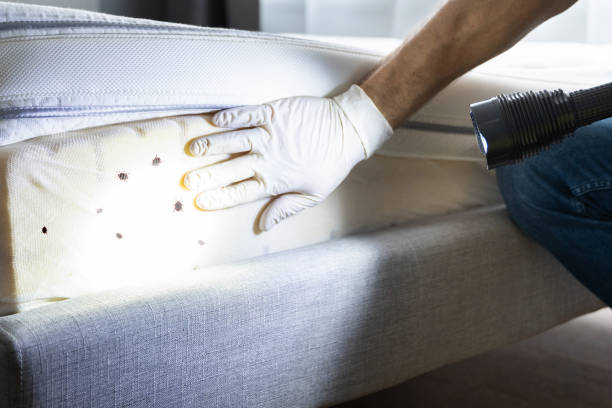 Pest Control Cost in Havre, MT